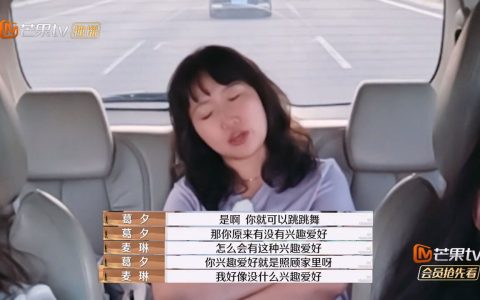 《再见爱人4》中的相爱模式和被爱模式